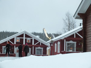 Kotkaexpo lauantai (32)